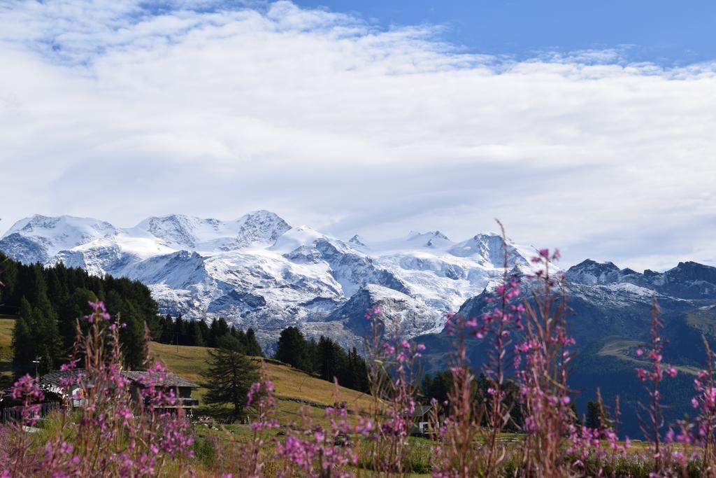 Le Rocher Hotel Champoluc Bagian luar foto